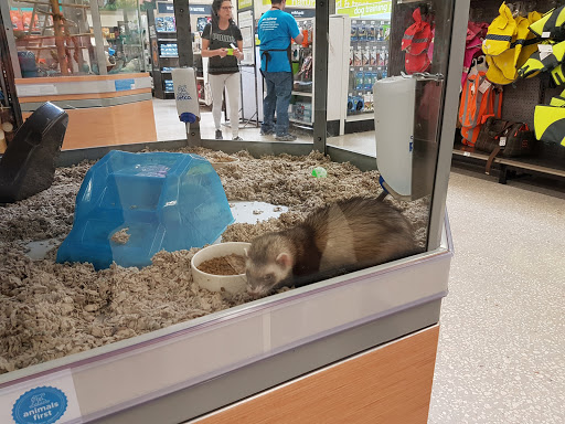 Pet Supply Store «Petco Animal Supplies», reviews and photos, 11147 Park Blvd N, Seminole, FL 33772, USA