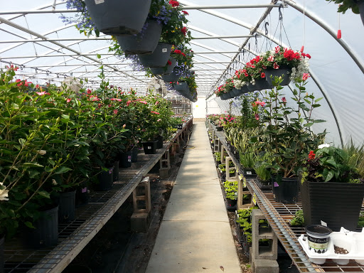 Plant Nursery «Rockin E Country Store», reviews and photos, 1201 W 500 S, Woods Cross, UT 84087, USA