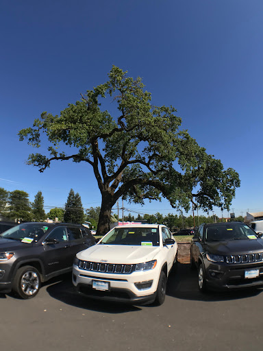 Jeep Dealer «McConnell Chrysler Dodge Jeep Ram», reviews and photos, 1405 Healdsburg Ave, Healdsburg, CA 95448, USA