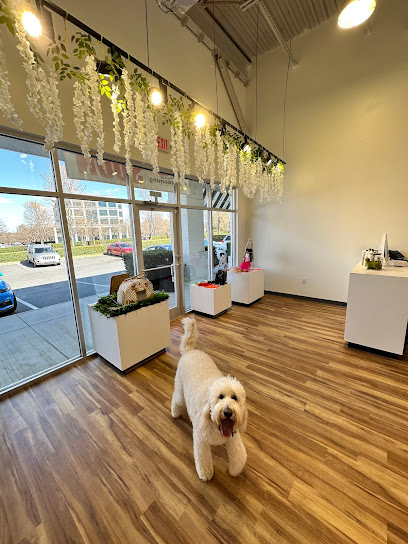 The Wow Factor Dog Grooming