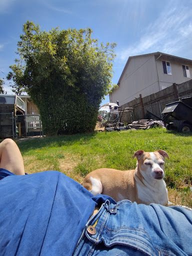 35645 Firlok Park Blvd, St Helens, OR 97051, USA