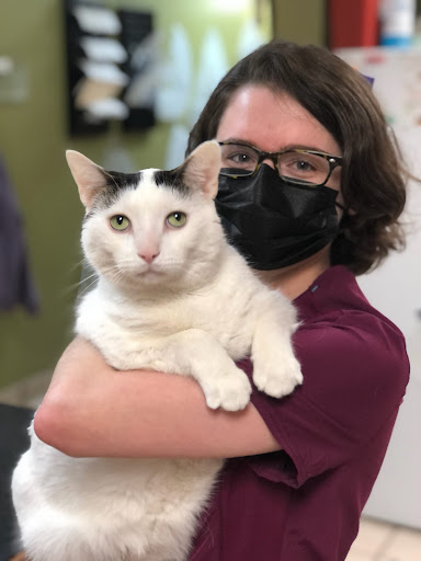 2909 Center Rd, Brunswick, OH 44212, USA