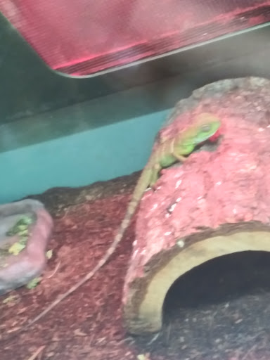 Pet Supply Store «Pet Supplies Plus», reviews and photos, 3100 Manchester Rd, Akron, OH 44319, USA