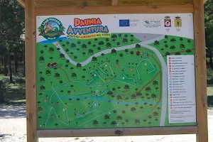 Parco Daunia Avventura image
