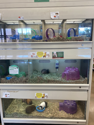 Pet Supply Store «Pet Supplies Plus», reviews and photos, 1661 Easton Rd #81, Warrington, PA 18976, USA