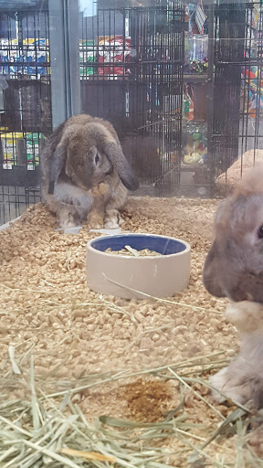 Pet Groomer «We Lov Pets», reviews and photos, 3853 Northpointe Dr, Zanesville, OH 43701, USA