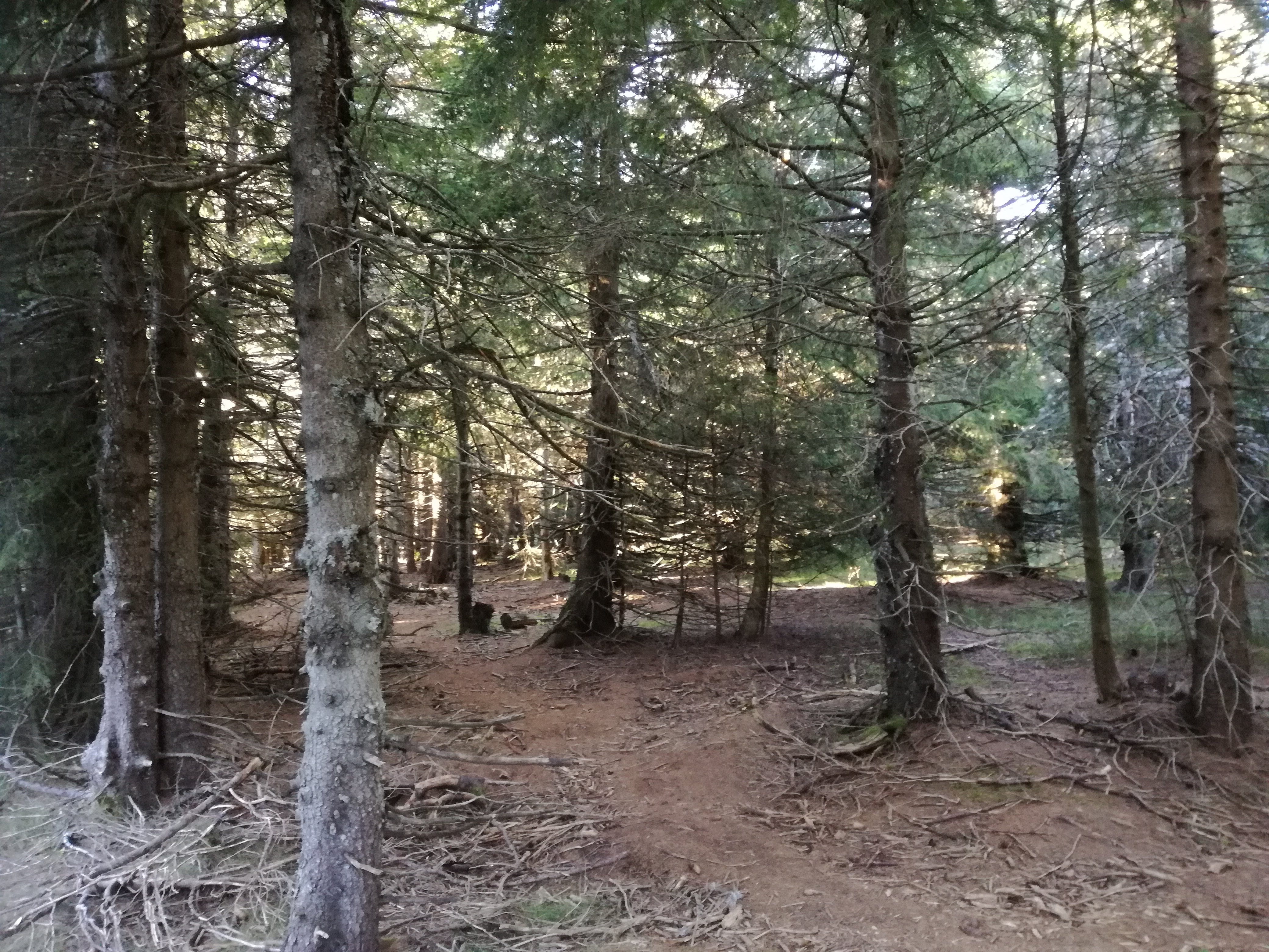 Photo n° 12 de l'avis de Nicole.. fait le 24/10/2018 à 14:31