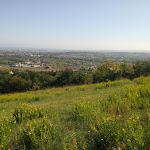 Photo n°3 de l'avis de Simone.a fait le 23/09/2018 à 14:42 sur le  Osteria La Chiacchiera à Rimini