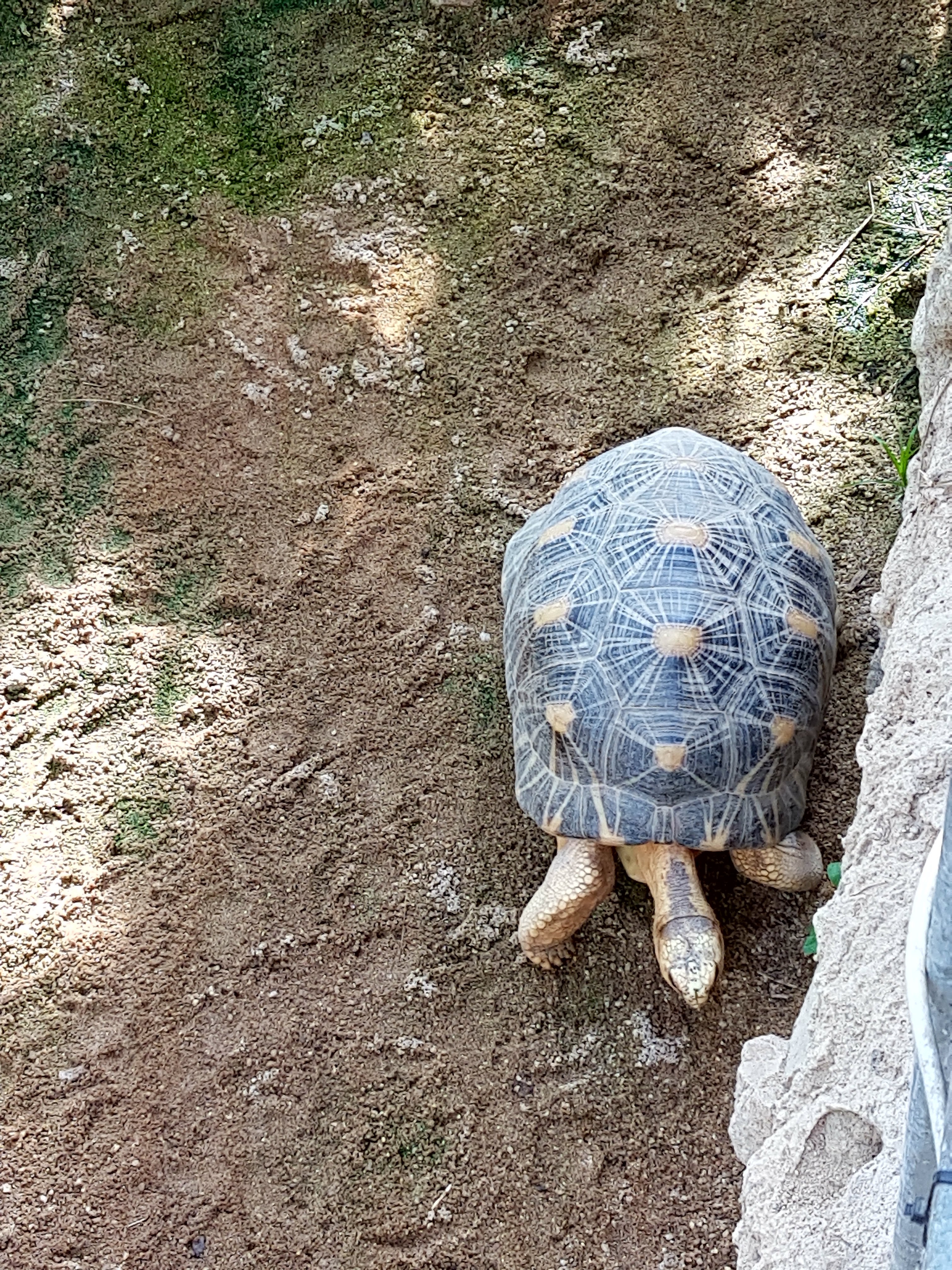 Photo n° 9 de l'avis de Gégé.e fait le 06/09/2020 à 16:49