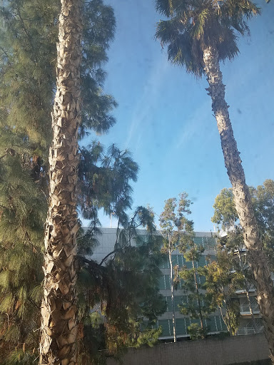 Holiday Inn & Suites Anaheim (1 BlkDisneyland), an IHG Hotel image