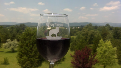 Winery «Wolf Gap Vineyard and Winery», reviews and photos, 123 Stout Rd, Edinburg, VA 22824, USA