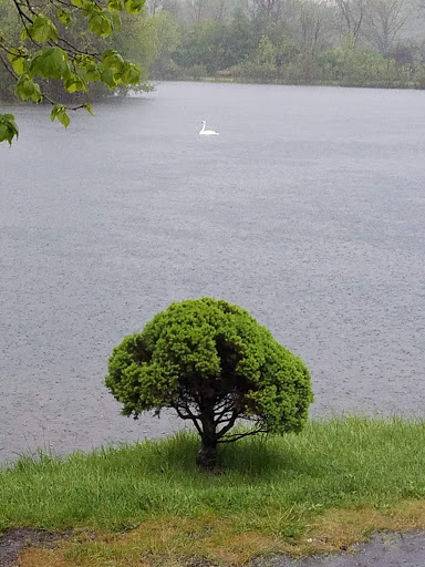 Golf Course «Huron Hills Golf Course», reviews and photos, 3465 E Huron River Dr, Ann Arbor, MI 48104, USA