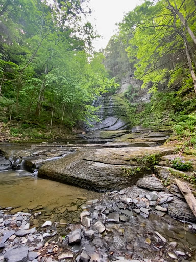 Nature Preserve «Sweedler and Thayer Preserves», reviews and photos, 10 Townline Rd, Ithaca, NY 14850, USA