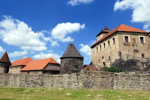 Water Castle Svihov image