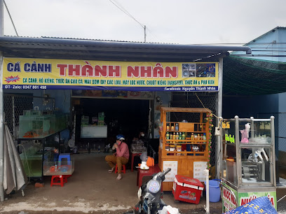 Cá Cảnh Thú Cưng Thành Nhân