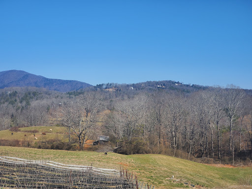Vineyard «Kaya Vineyard & Winery», reviews and photos, 5400 Town Creek Rd, Dahlonega, GA 30533, USA