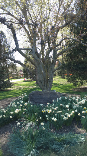 Resort «Rocking Horse Ranch», reviews and photos, 600 US-44, Highland, NY 12528, USA