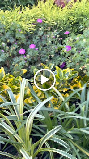 Home Improvement Store «The Home Depot», reviews and photos, 3051 E Main St, Mohegan Lake, NY 10547, USA