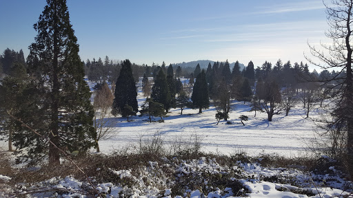 Golf Course «Rose City Golf Course», reviews and photos, 2200 NE 71st Ave, Portland, OR 97213, USA