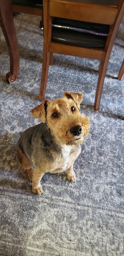 Pet Supply Store «Petco Animal Supplies», reviews and photos, 1203 SE Everett Mall Way f, Everett, WA 98208, USA