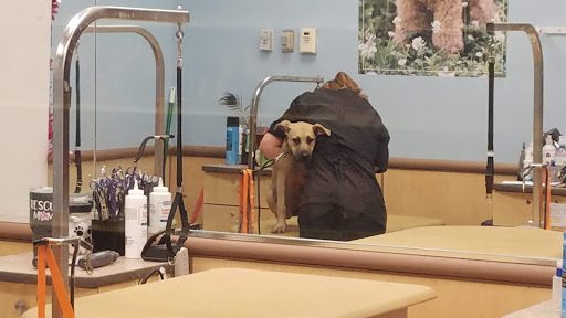 Pet Supply Store «PetSmart», reviews and photos, 1819 NE Pine Island Rd, Cape Coral, FL 33909, USA