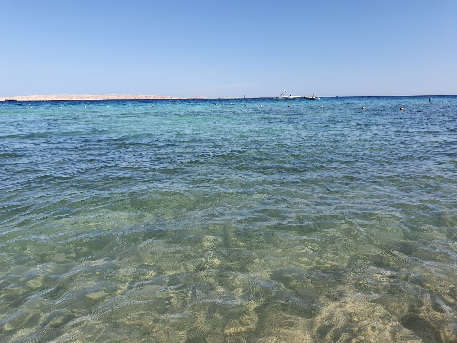 Valokuva Turtles Beach Resort Hurghadaista. hotellialue