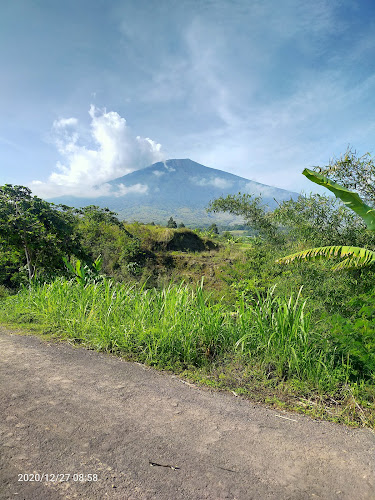 Taman Nasional di Kabupaten Lombok Timur: Menyajikan Keindahan Alam yang Mengagumkan