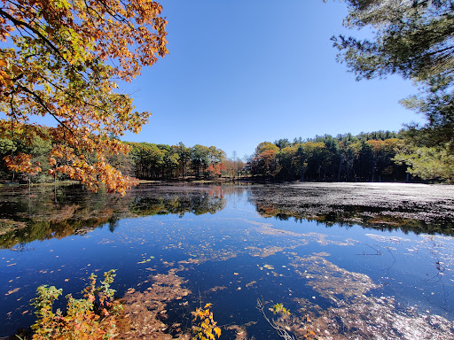 Outdoor Sports Store «Maple Hill Disc Golf», reviews and photos, 132 Marshall St, Leicester, MA 01524, USA