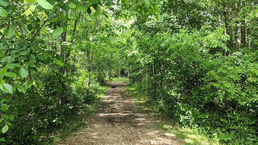 Disc Golf Course «Hudson Mills Disc Golf Course», reviews and photos, 8801 N Territorial Road, Dexter, MI 48130, USA