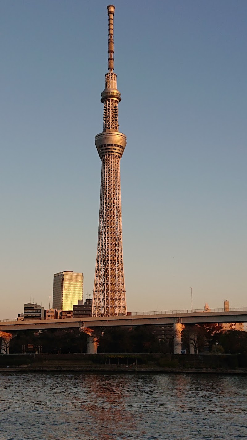 台東区立隅田公園 遊具広場