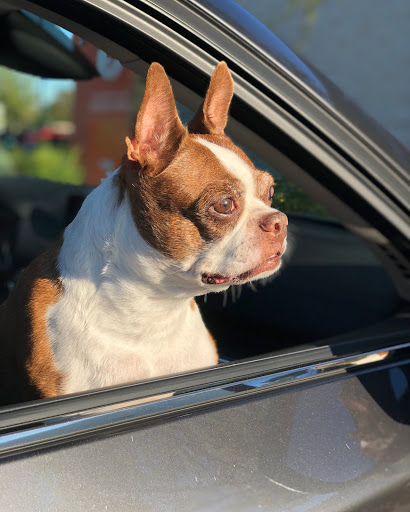 Supermarket «Walmart Neighborhood Market», reviews and photos, 825 Casa Verde Blvd, Lake Mary, FL 32746, USA