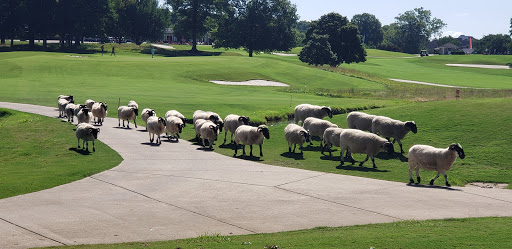 Golf Course «Hermitage Golf Course», reviews and photos, 3939 Old Hickory Boulevard, Old Hickory, TN 37138, USA