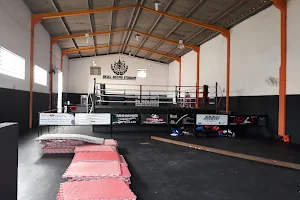 SKULL BOXING STADIUM image