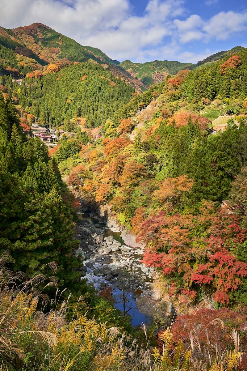 光岩園地