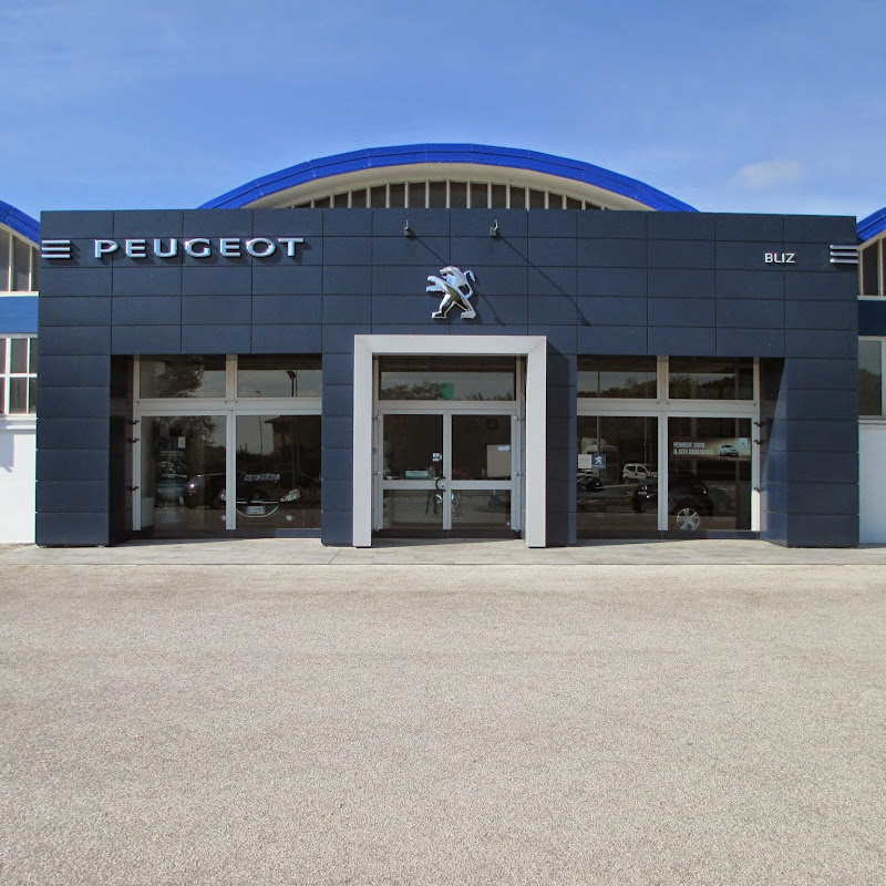 Bliz Ltd. - Peugeot Castions