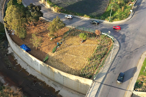 Beirut's RiverLESS Forest image