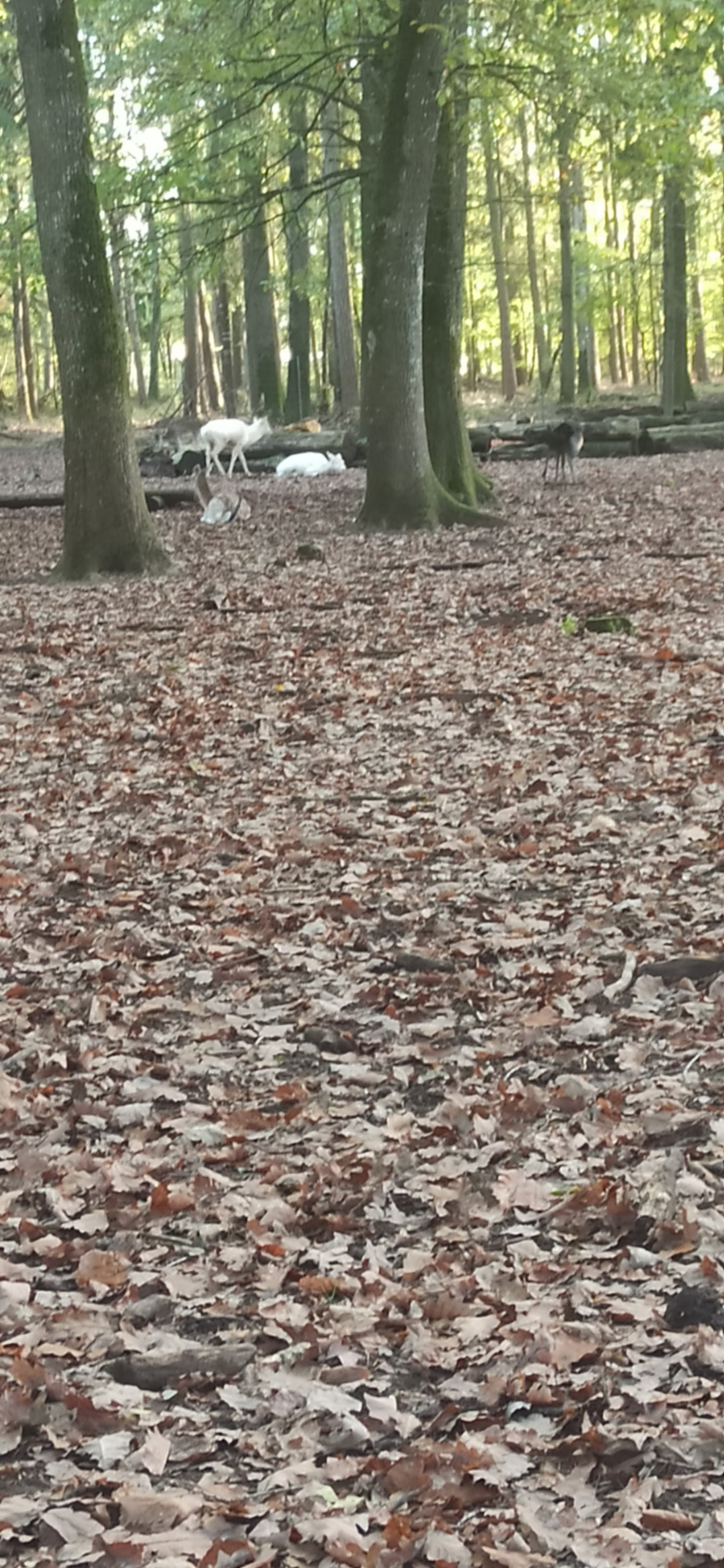 Photo n° 2 de l'avis de E.- fait le 10/11/2022 à 21:52