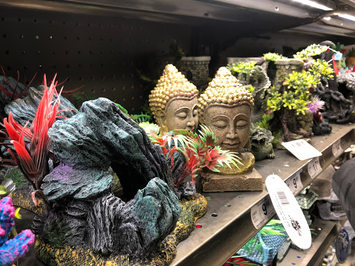 Pet Supply Store «Petco Animal Supplies», reviews and photos, 178 Township Blvd, Camillus, NY 13031, USA