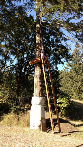 Tourist Attraction «Tree to Tree Adventure Park», reviews and photos, 2975 SW Nelson Rd, Gaston, OR 97119, USA