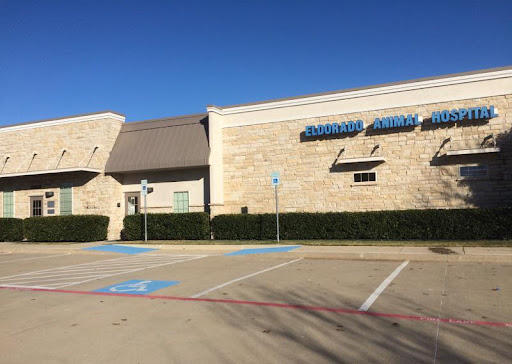 3170 Eldorado Pkwy, McKinney, TX 75070, USA