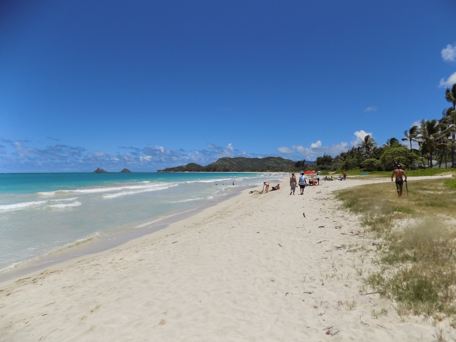 Foto de Kailua Beach con recta y larga