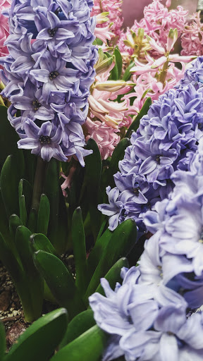 Home Improvement Store «The Home Depot», reviews and photos, 13929 Manchester Rd, Ballwin, MO 63011, USA