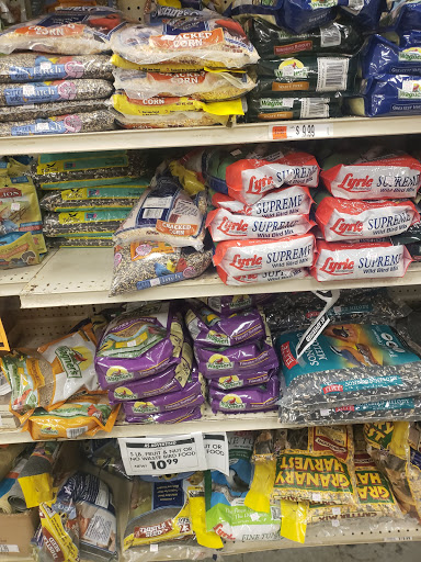 Discount Store «Ocean State Job Lot», reviews and photos, 1 Snow Rd, Marshfield, MA 02050, USA