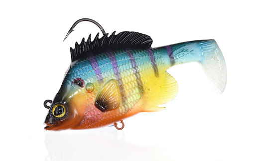 Outdoor Sports Store «Outdoor Pro Shop», reviews and photos, 412 Houser St, Cotati, CA 94931, USA