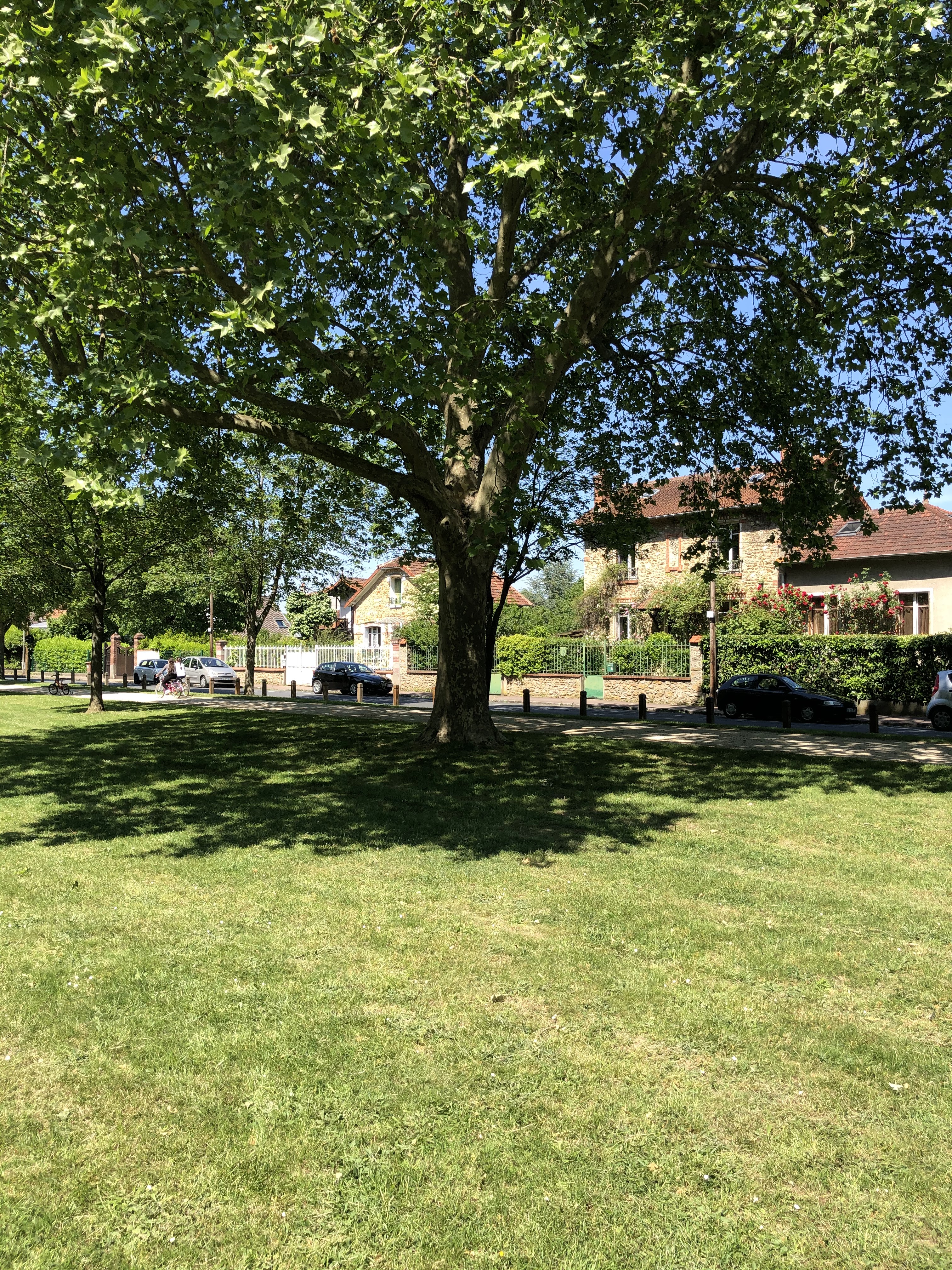 Photo n° 3 de l'avis de Sergiu.u fait le 17/05/2020 à 13:43