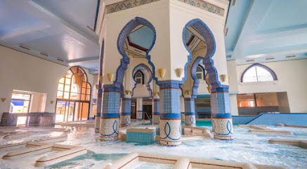 دكتور عماد امين السكوت