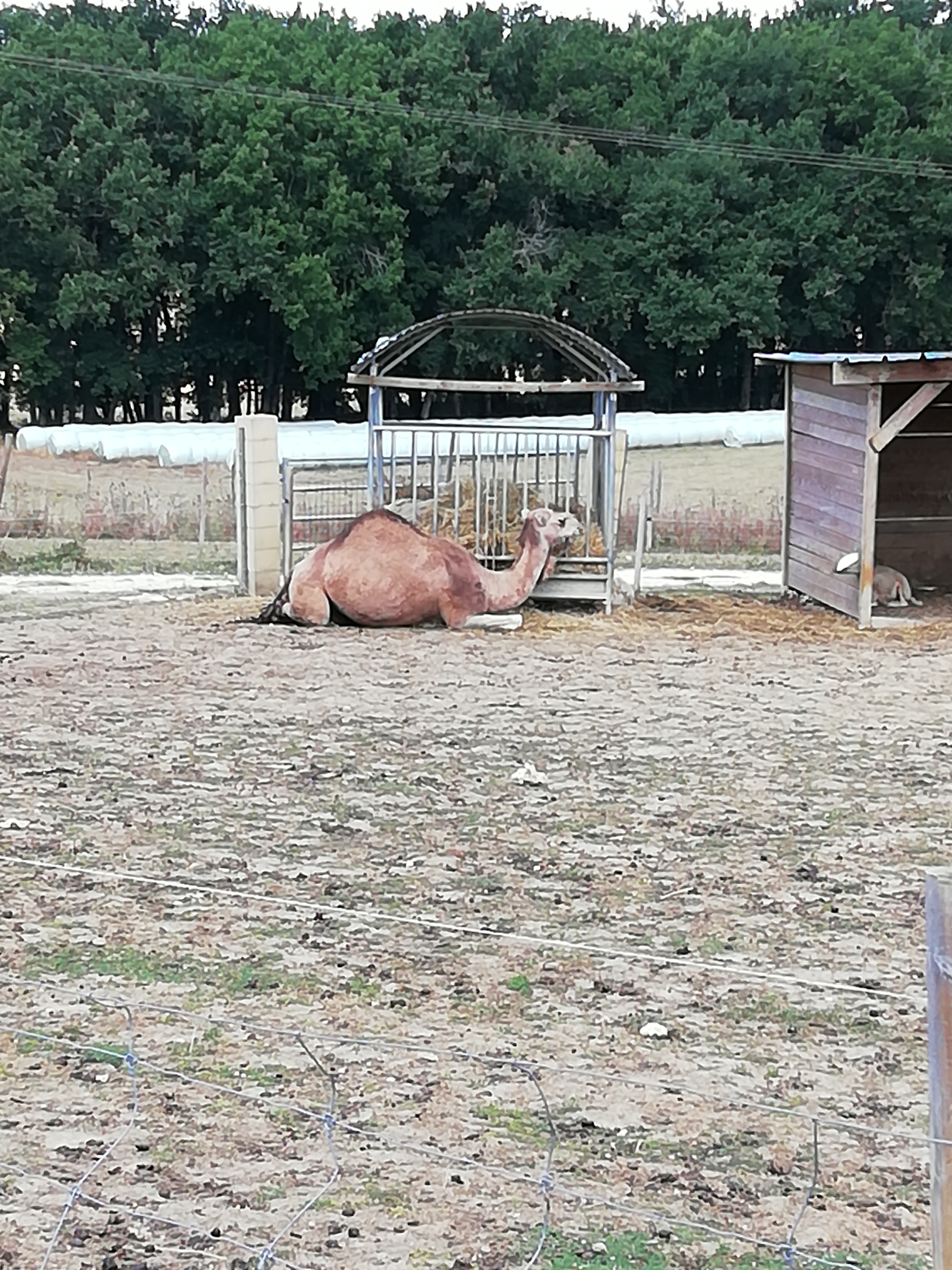 Photo n° 15 de l'avis de Franck.a fait le 23/06/2019 à 15:03