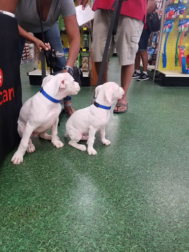 Pet Supply Store «Pet Supermarket», reviews and photos, 3821 S Cobb Dr, Smyrna, GA 30080, USA
