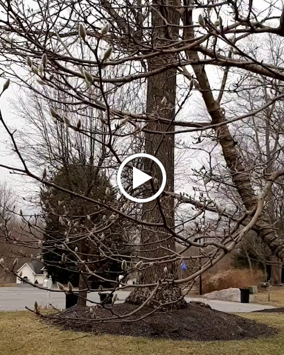 Liquor Store «Freeland Wine & Spirits», reviews and photos, 20231 Middletown Rd, Freeland, MD 21053, USA