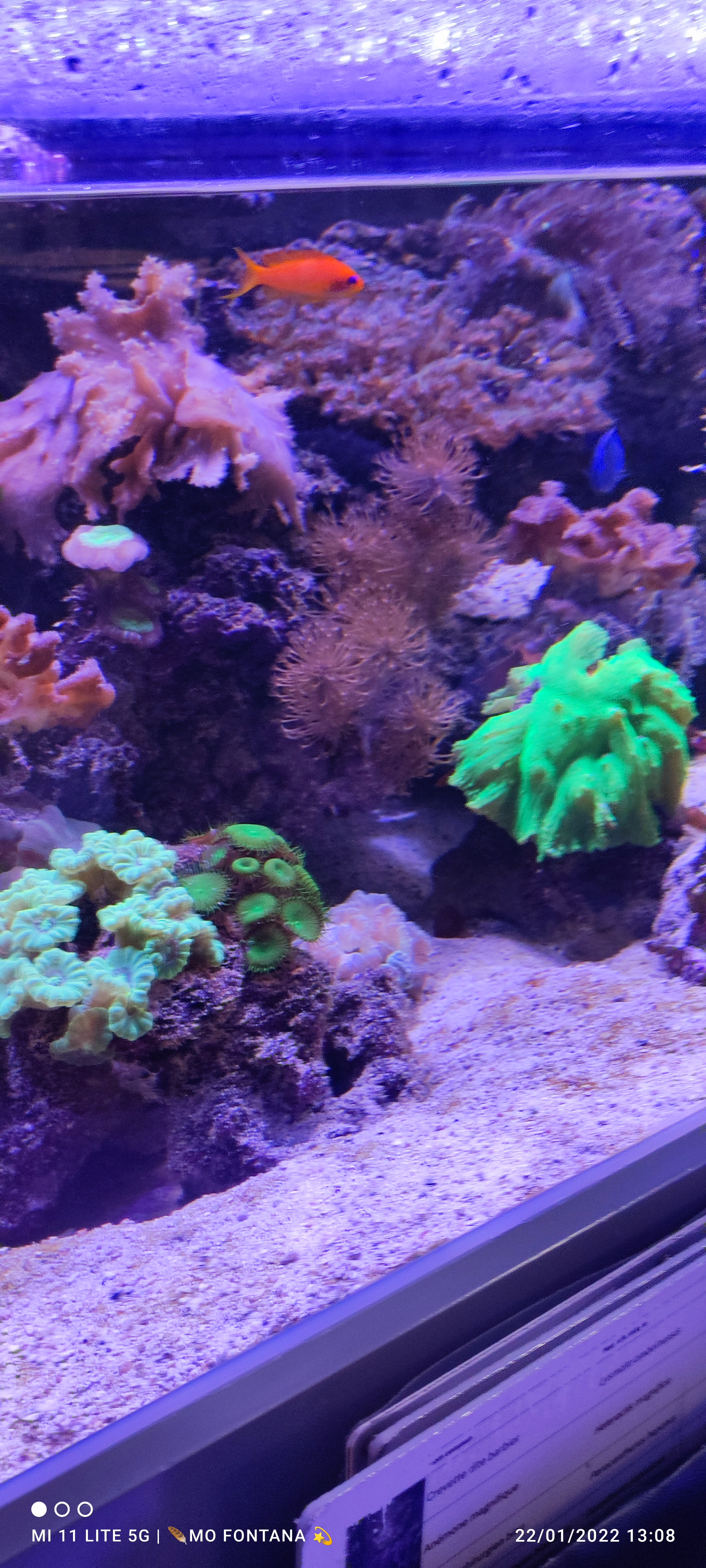 Photo n° 34 de l'avis de monique.O fait le 22/01/2022 à 12:29